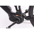 BAFANG motor 36V750W billige elektrische fahrrad mit versteckter batterie, mountain e-bike made in china